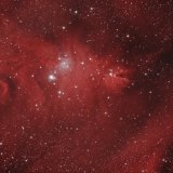 NGC2264, the Cone Nebula