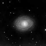NGC1398