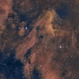 IC 5070, the Pelican