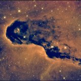 IC1396a-VdB142, Detail, the Elephant's Trunk