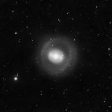 NGC1291