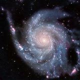 M101, with SN2023