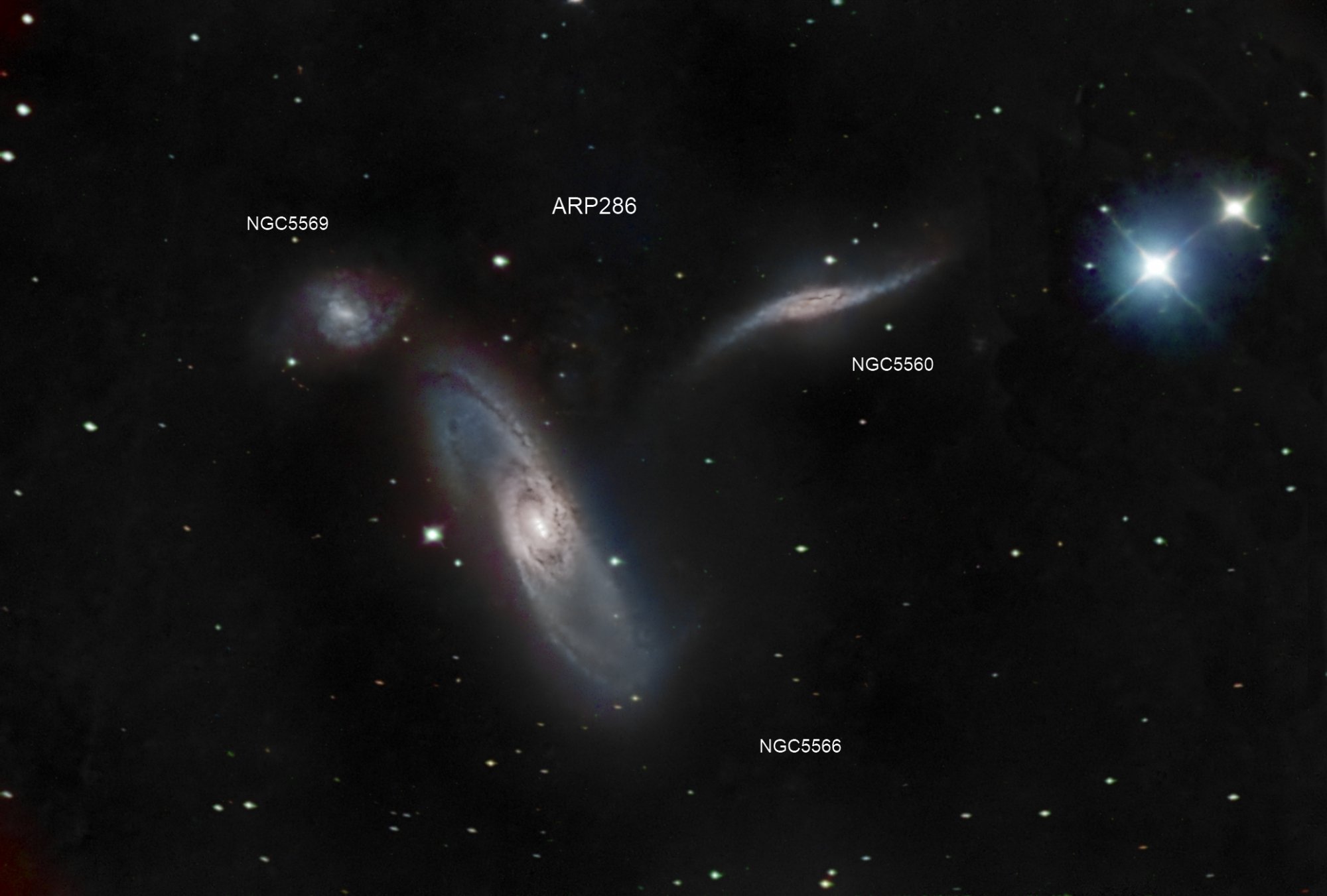 Arp 286, with NGC5560