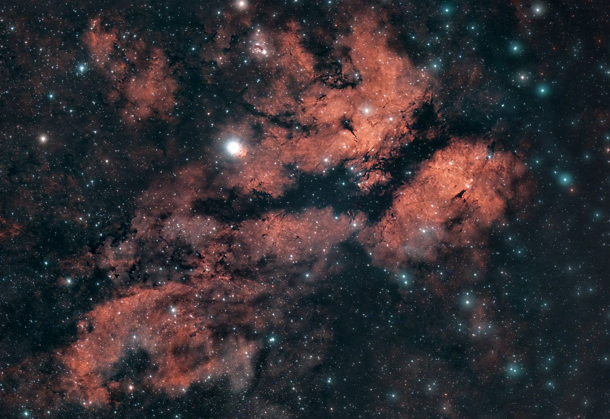 IC1318-W