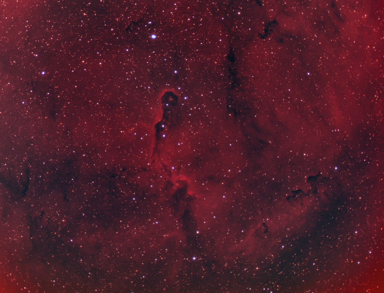 IC1396, the Elephant's Trunk Nebula