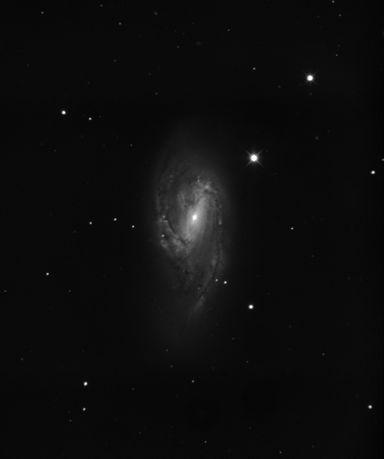 NGC6603