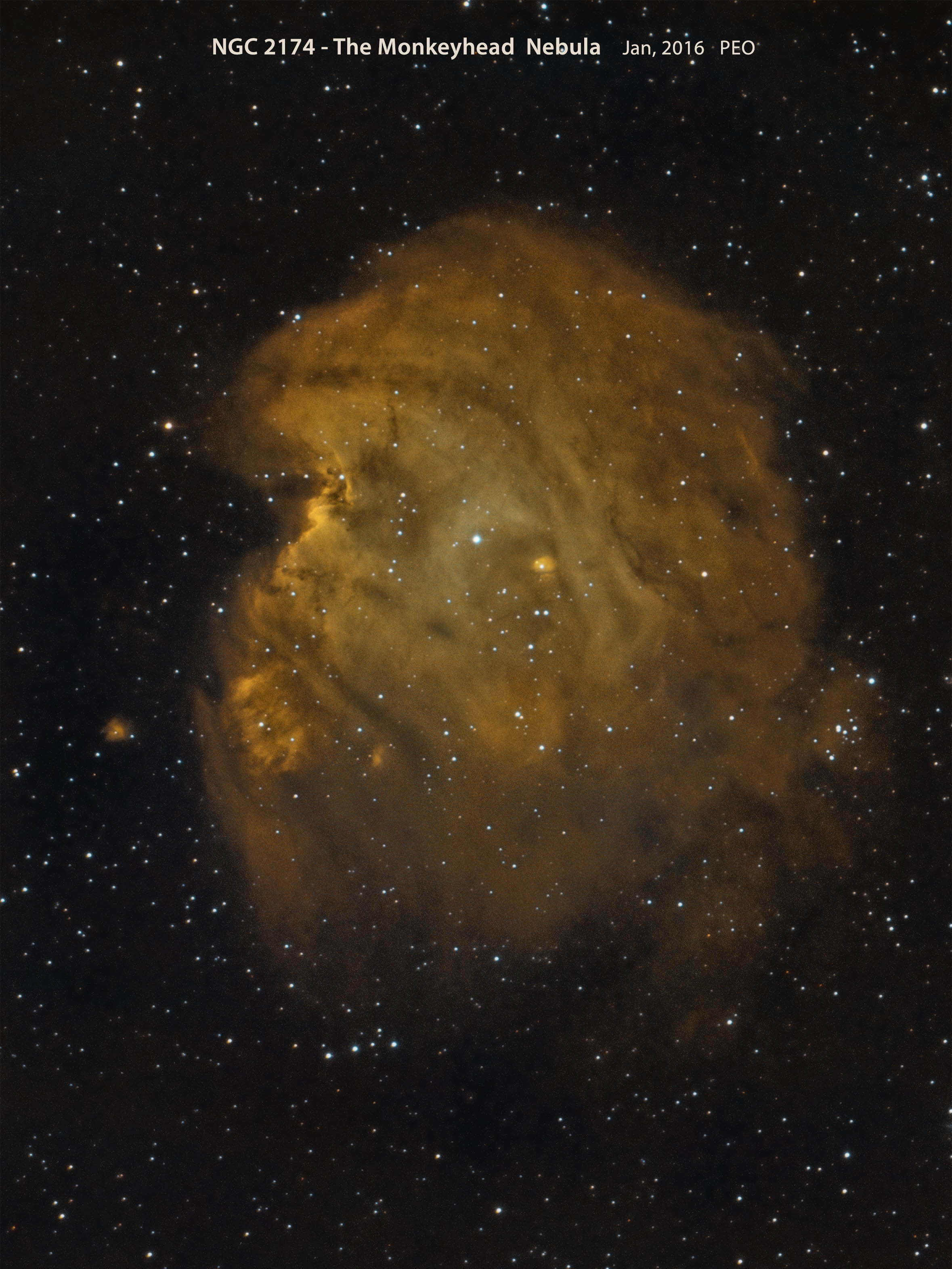 the Monkeyhead Nebula